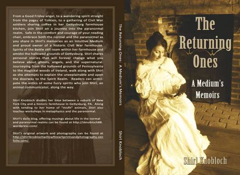 Book cover The Returning Ones